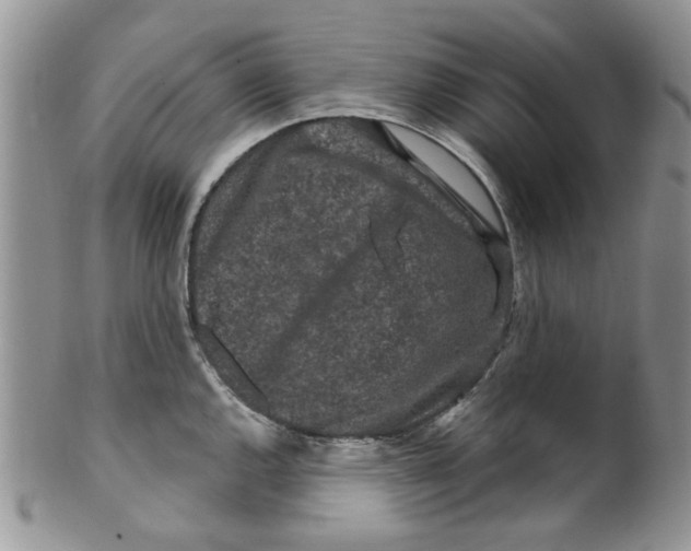 X0000099491144200806051053