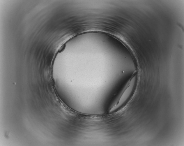 X0000099491145200806051053