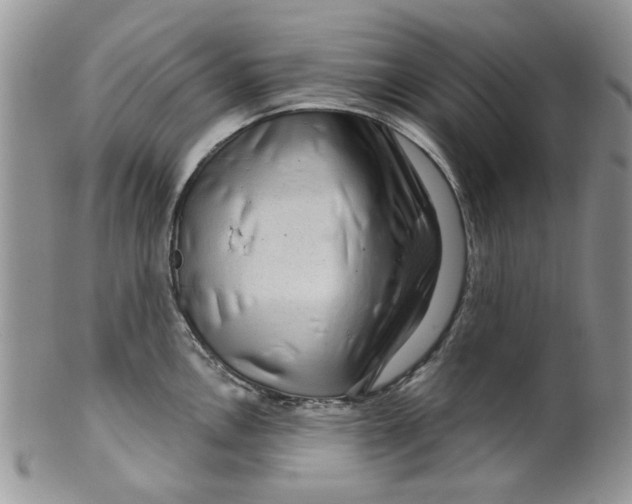 X0000099491146200806051053