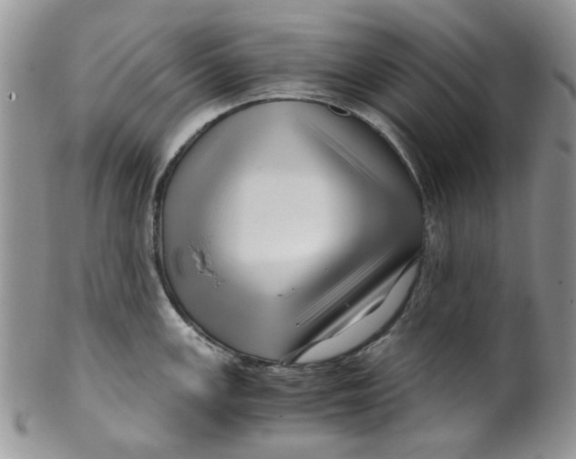 X0000099491147200806051053