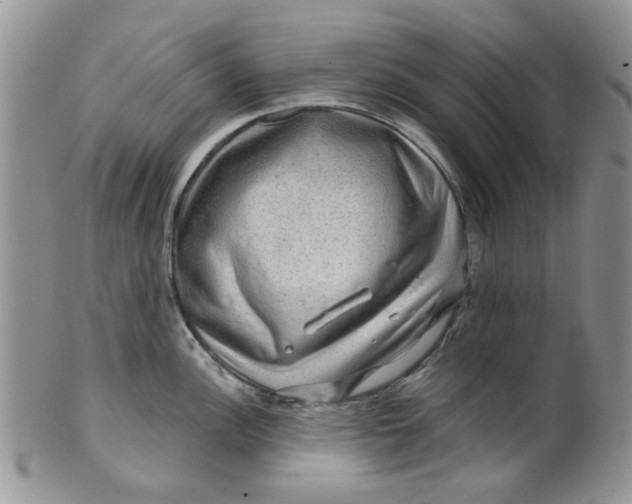 X0000099491148200806051053