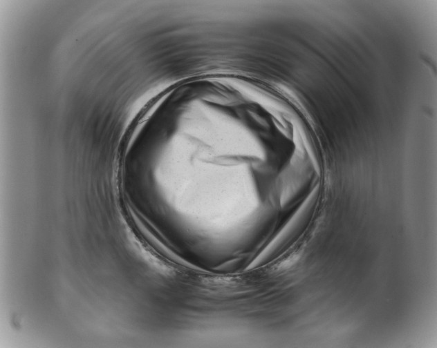 X0000099491149200806051053