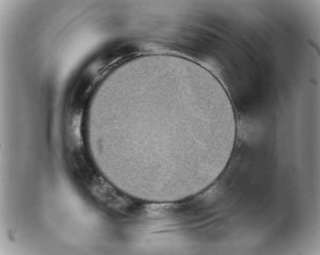 X0000099491150200806051053