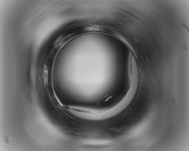 X0000099491151200806051053