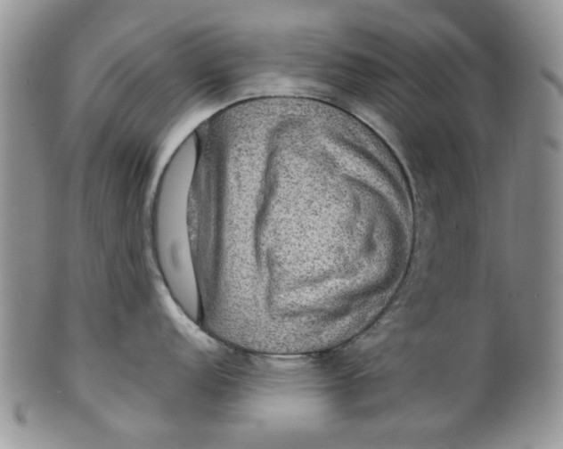 X0000099491152200806051053