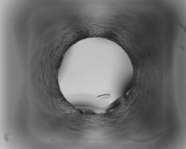 X0000099491153200806051052