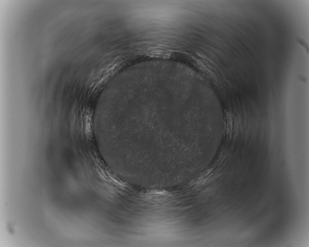 X0000099491154200806051052