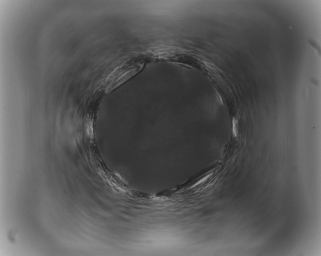 X0000099491155200806051052