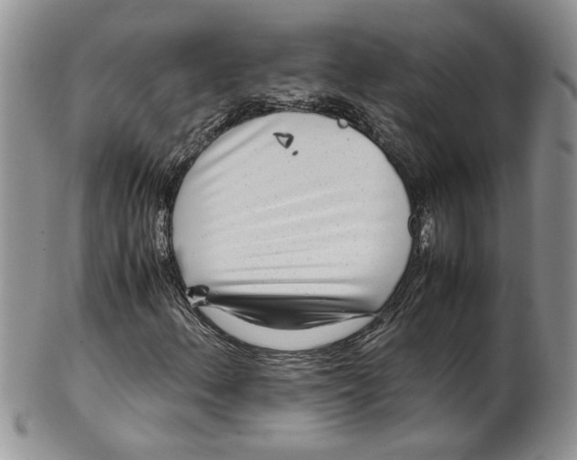 X0000099491156200806051052