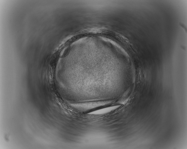 X0000099491158200806051052