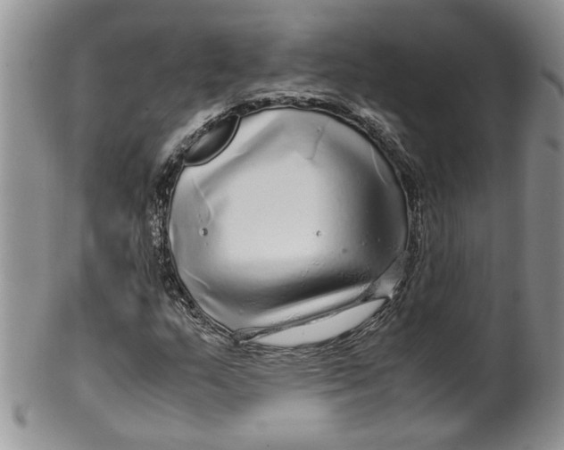 X0000099491159200806051052