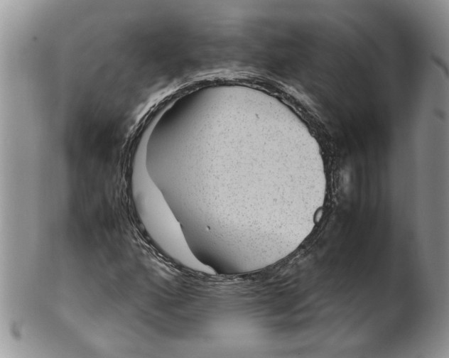 X0000099491160200806051052