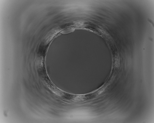 X0000099491161200806051052