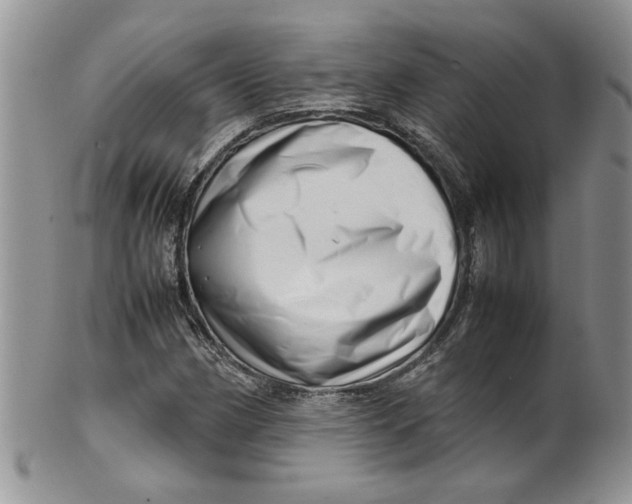 X0000099491162200806051052