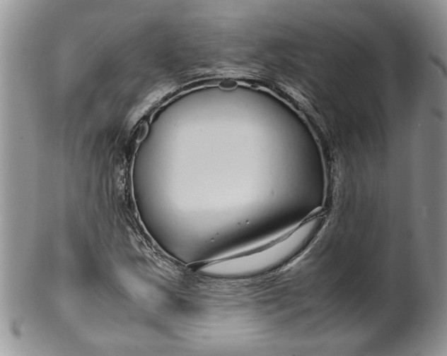 X0000099491163200806051052