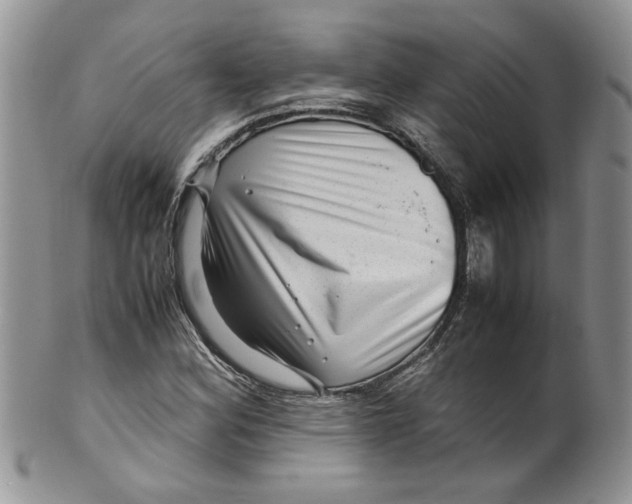 X0000099491164200806051052