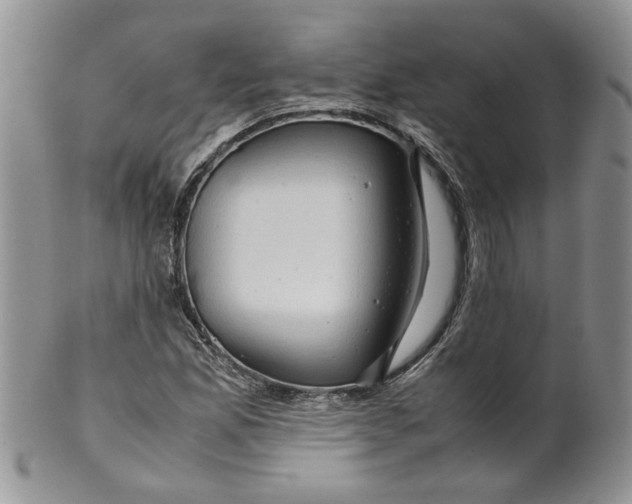 X0000099491165200806051052