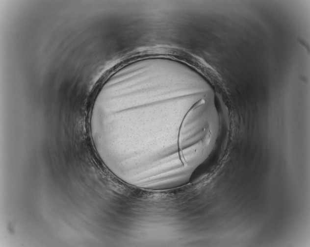 X0000099491166200806051052