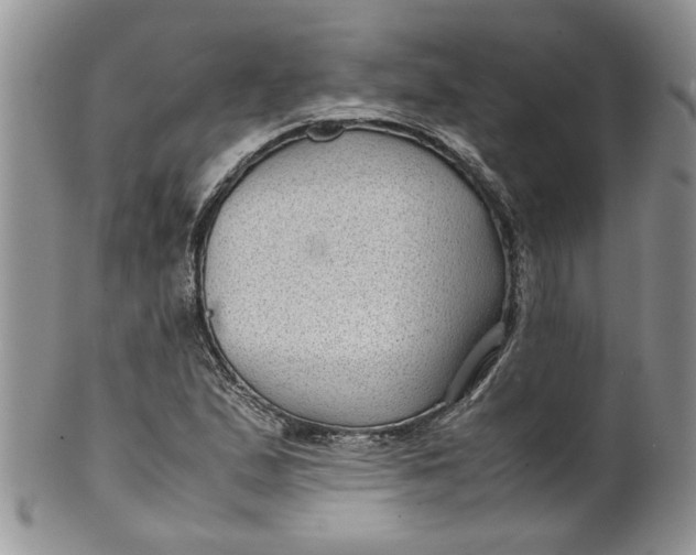 X0000099491167200806051052