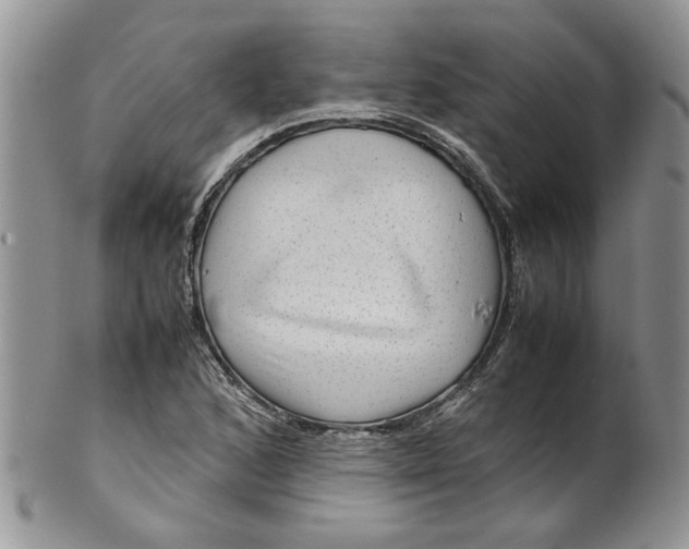 X0000099491168200806051052