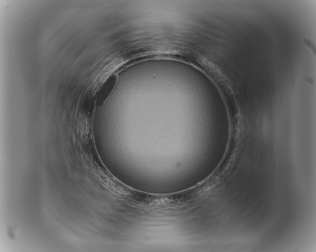 X0000099491169200806051052