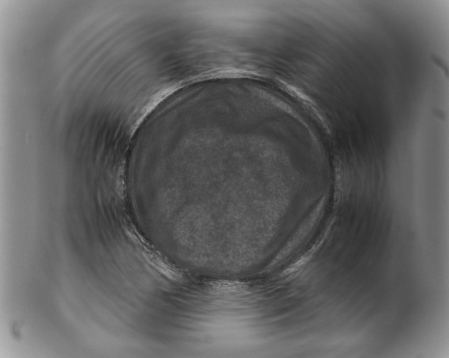 X0000099491170200806051052