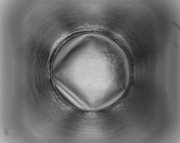 X0000099491172200806051052