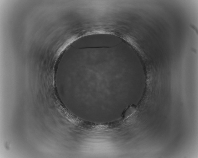 X0000099491173200806051052