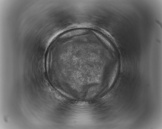 X0000099491174200806051052