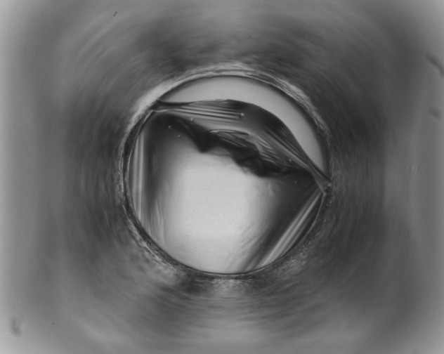 X0000099491176200806051052