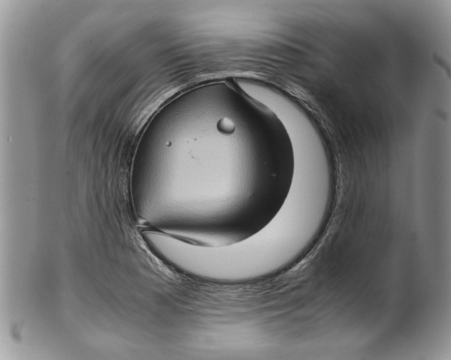 X0000099491177200806051052