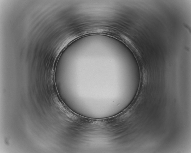 X0000099491178200806051052