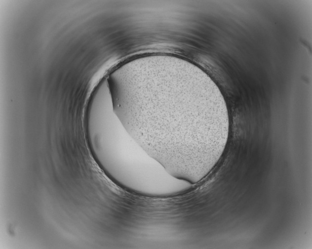 X0000099491180200806051052