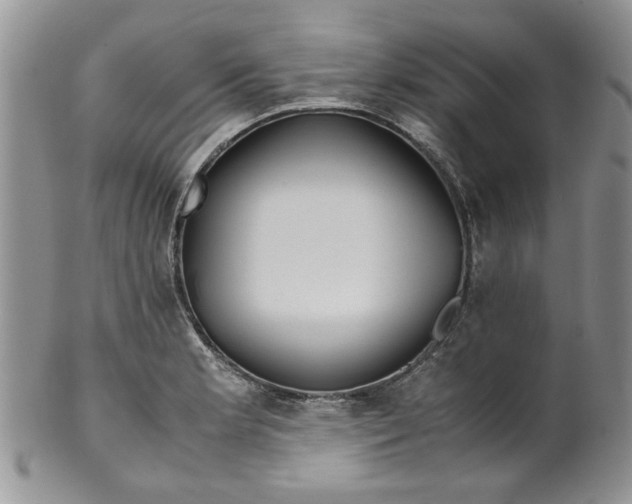 X0000099491181200806051052