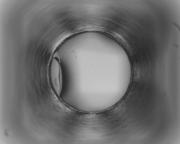 X0000099491182200806051052