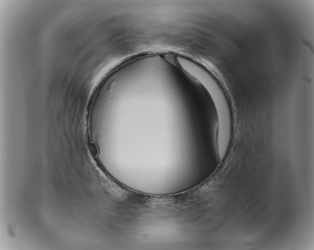 X0000099491183200806051052