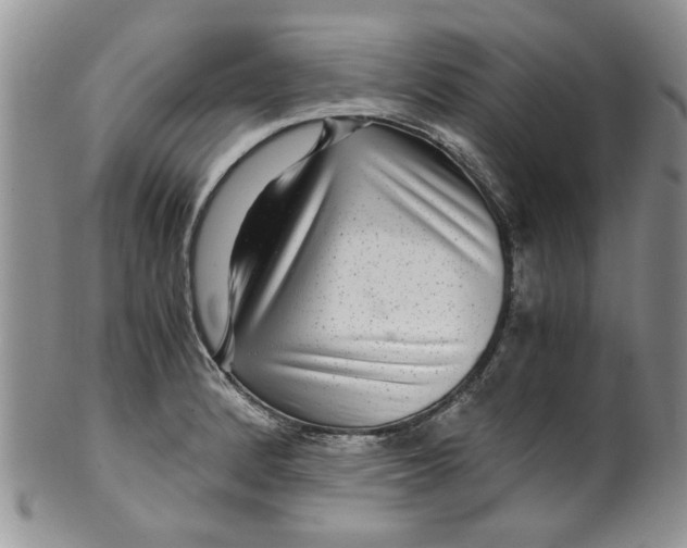 X0000099491184200806051052