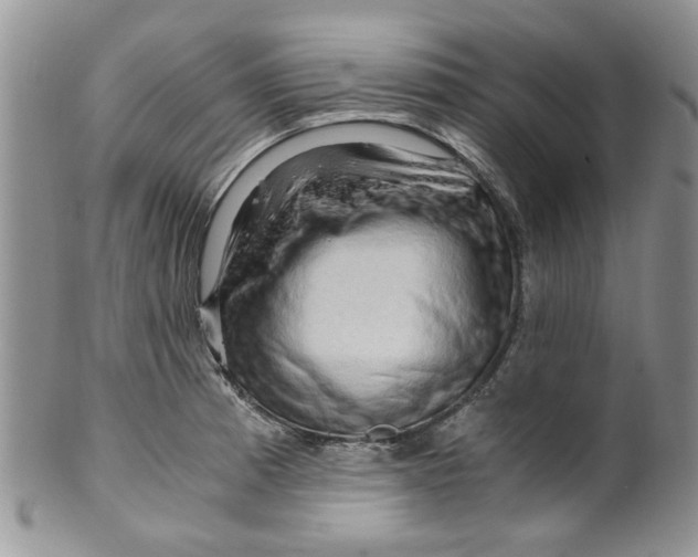 X0000099491185200806051052