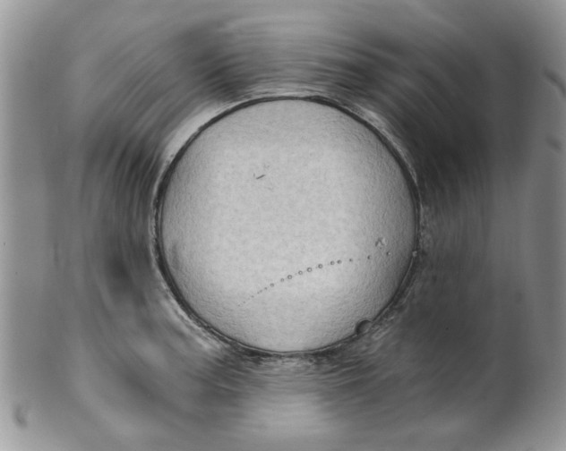 X0000099491187200806051052