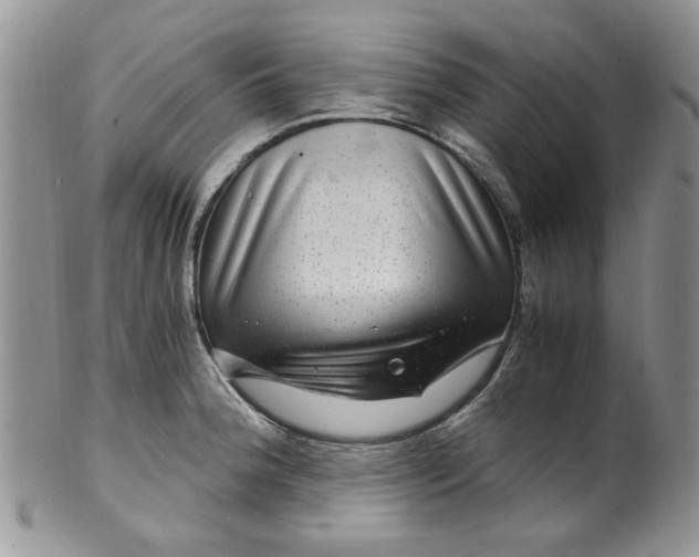 X0000099491188200806051052