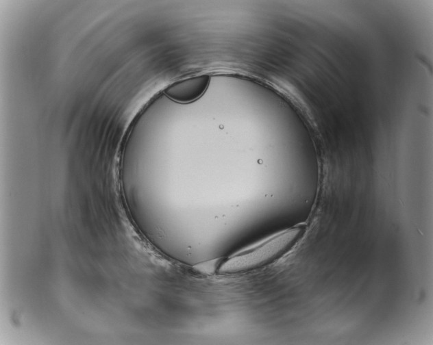 X0000099491190200806051052