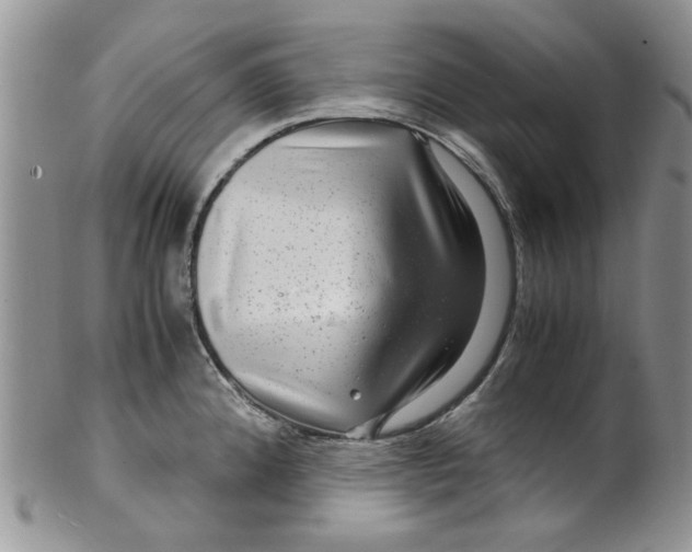 X0000099491192200806051052