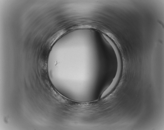 X0000099491193200806051052