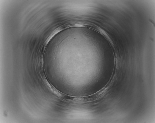 X0000099491194200806051052