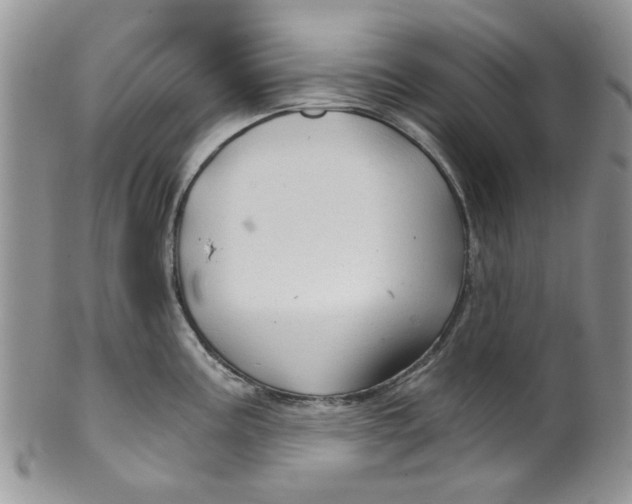 X0000099491195200806051051