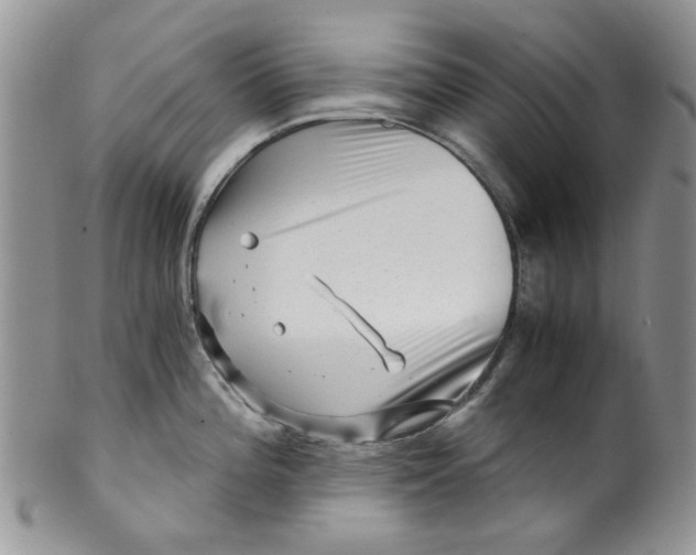 X0000099491196200806051051