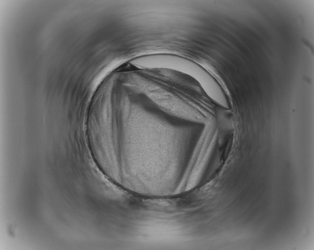 X0000099491197200806051051