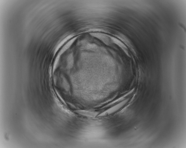 X0000099491198200806051051