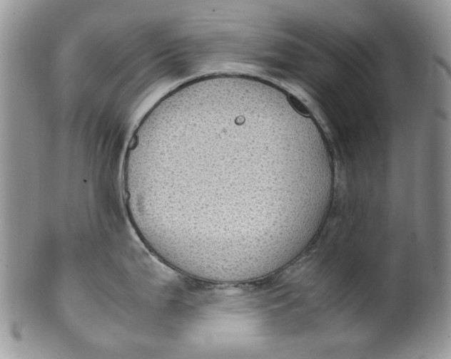 X0000099491199200806051051