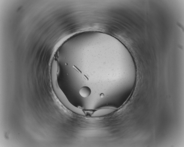 X0000099491200200806051051